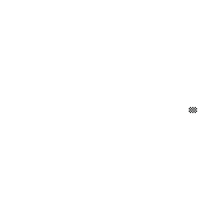 Motul Petit Le Mans (IMSA, R11) Circuit