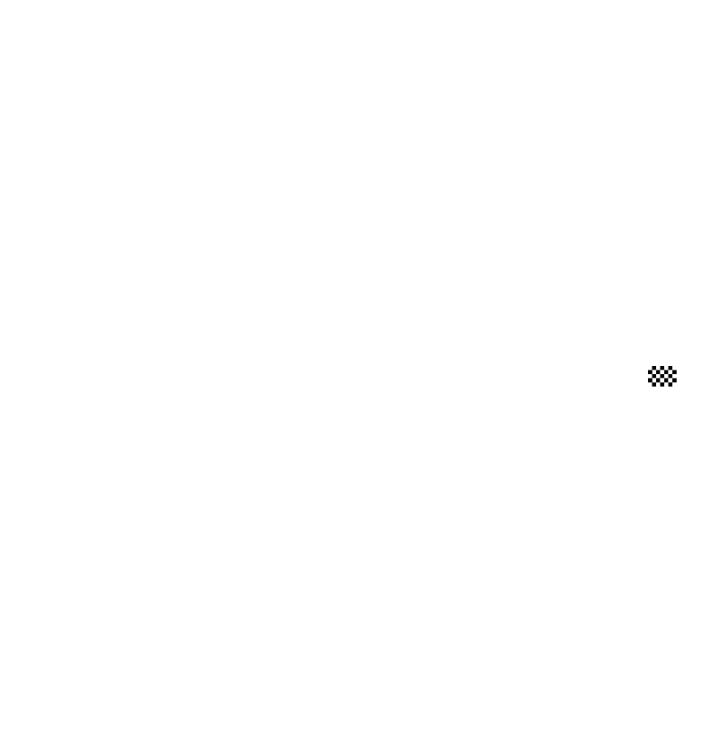 IMSA Motul Petit Le Mans Circuit